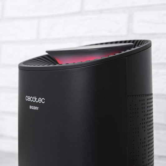 Cecotec BigDry Desumidificador