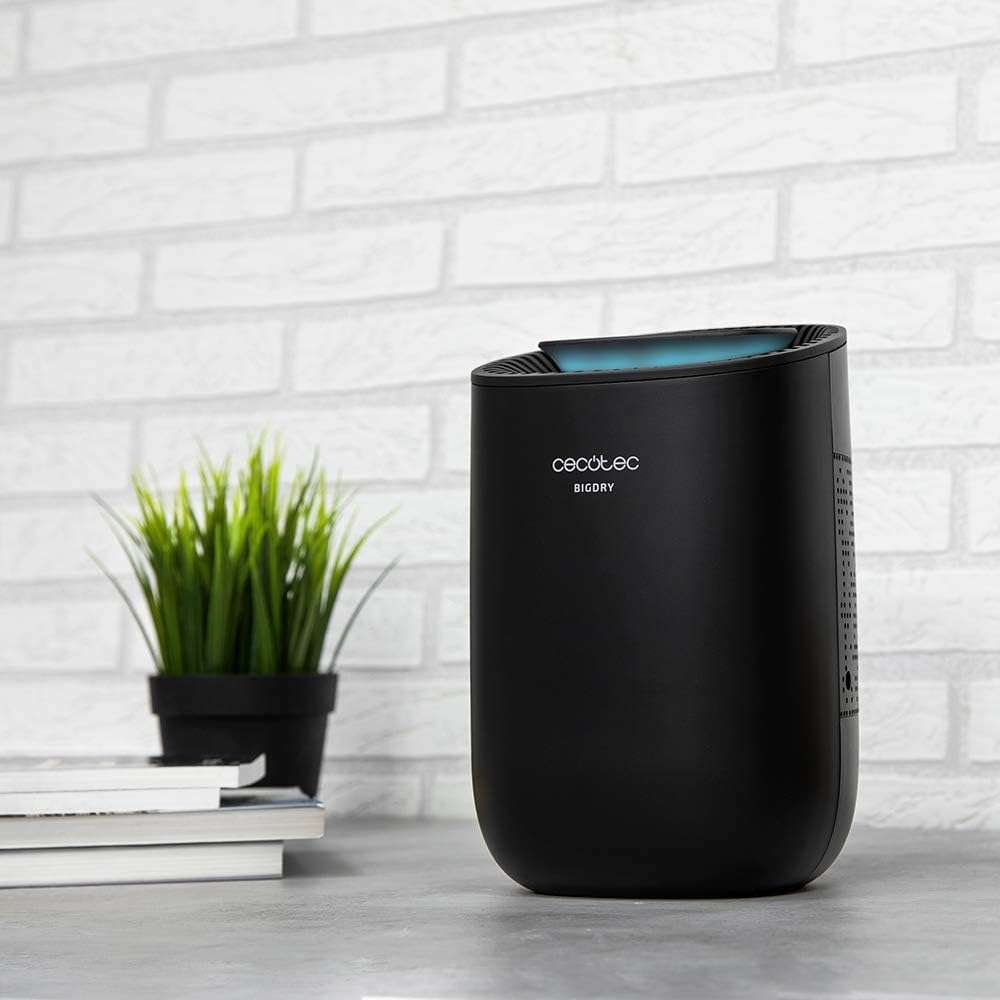 Cecotec BigDry Desumidificador